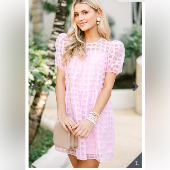 TCEC Dresses & Skirts - TCEC All My Life Blush Pink Textured Babydoll Mini Dress